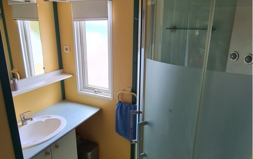 Location de vacances - Chalet à Saint-Leu - salle de bain avec cabine douche vue jardin
