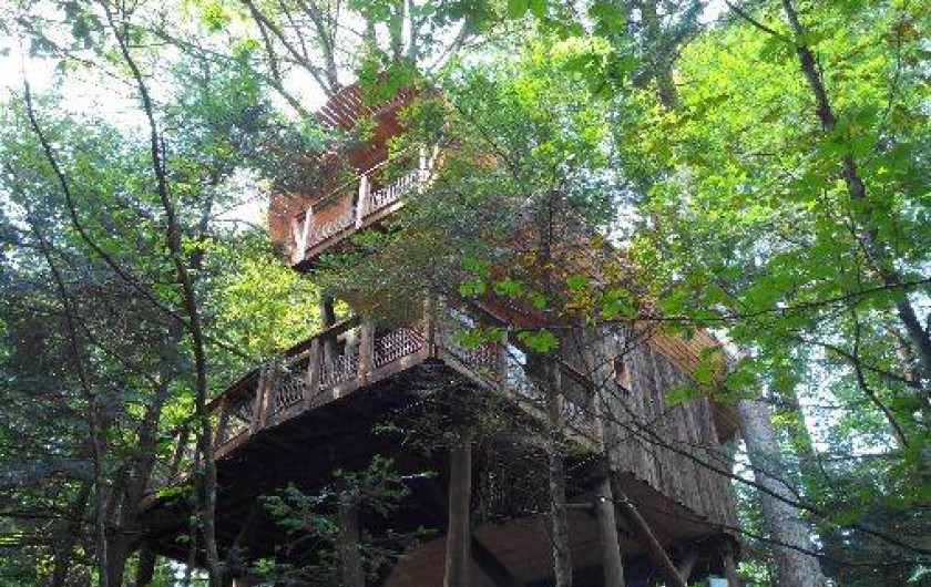 Location de vacances - Cabane dans les arbres à Champdray