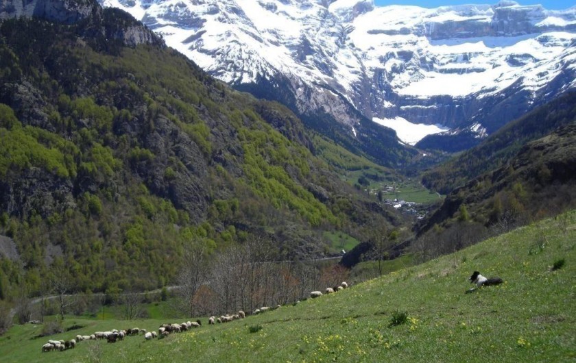 Location de vacances - Gîte à Gavarnie-Gèdre