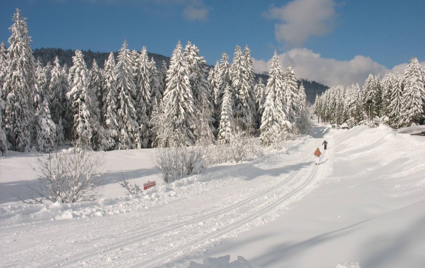 Location de vacances - Chalet à Basse-sur-le-Rupt - Balade en ski de fond