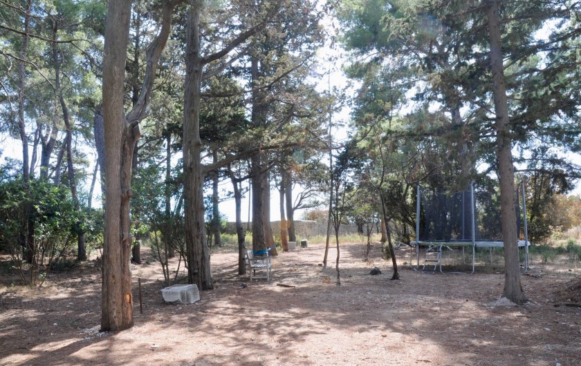 Location de vacances - Chambre d'hôtes à Frontignan - Parc avec trampoline