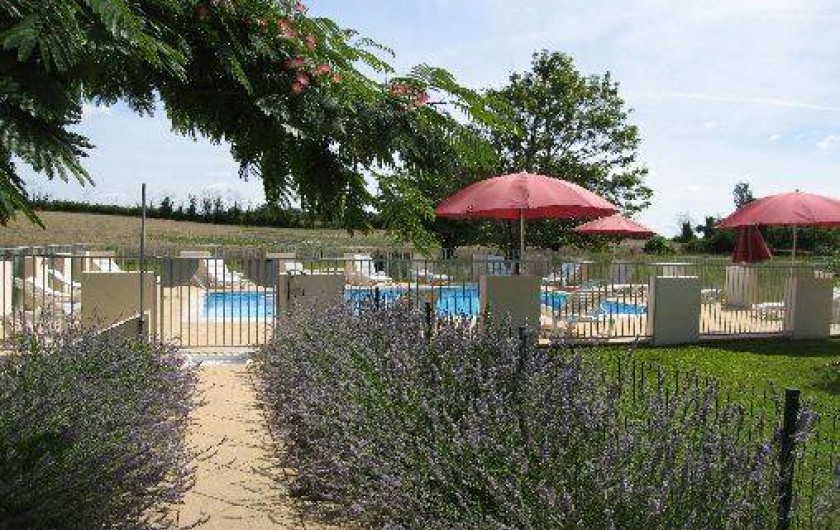 Location de vacances - Maison - Villa à Saint-Séverin - La piscine sécurisée, douche solaire, bains de soleil, toilettes sur place,