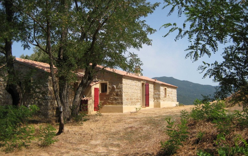 Location de vacances - Appartement à Sartène - Arrière de la maison avec accès au SPA