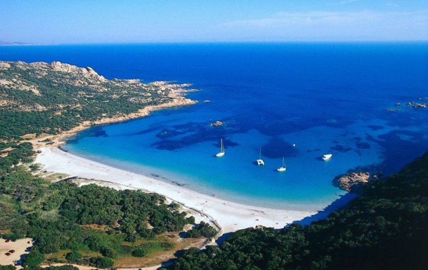 Location de vacances - Appartement à Sartène - Vue sur la plage de Roccapina