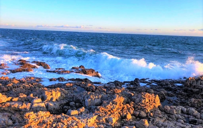 Location de vacances - Appartement à Juan les Pins