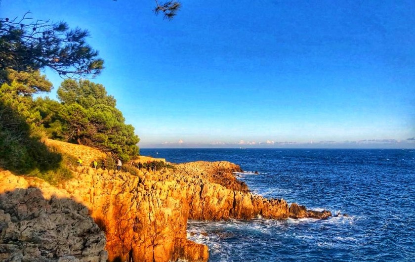 Location de vacances - Appartement à Juan les Pins