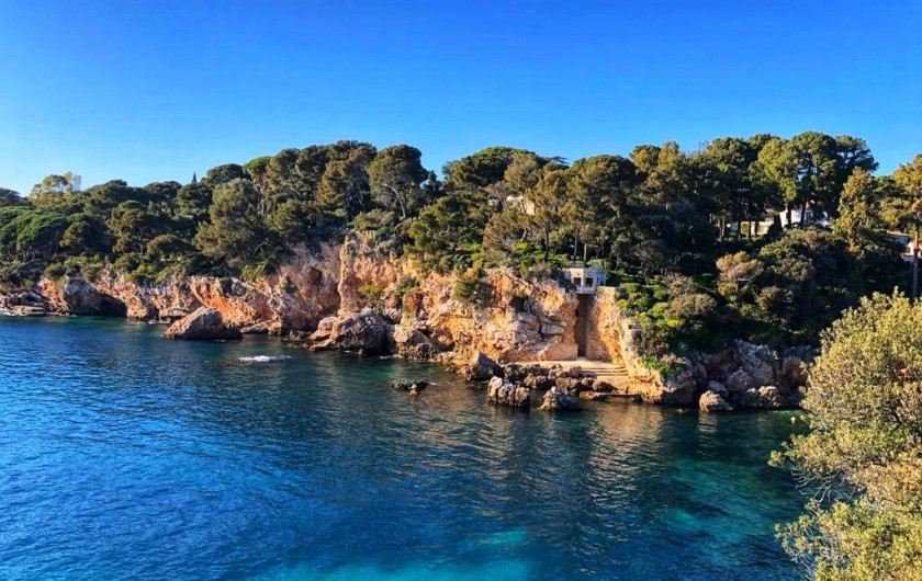 Location de vacances - Appartement à Juan les Pins