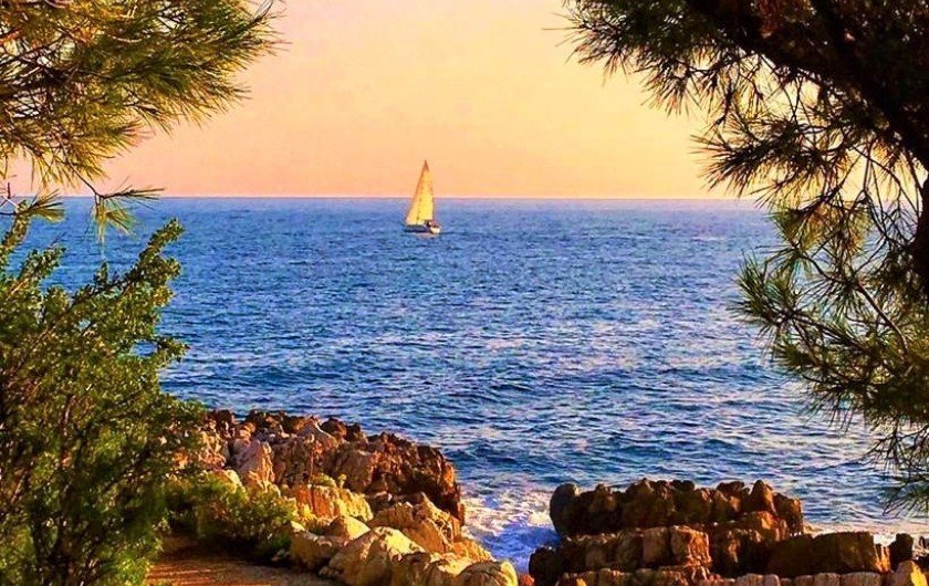 Location de vacances - Appartement à Juan les Pins