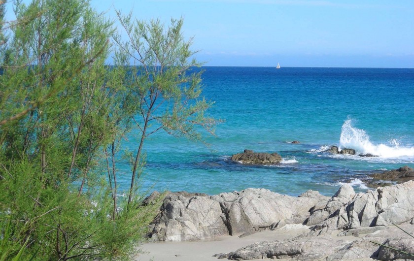 Location de vacances - Villa à Calvi - Des plages magnifiques