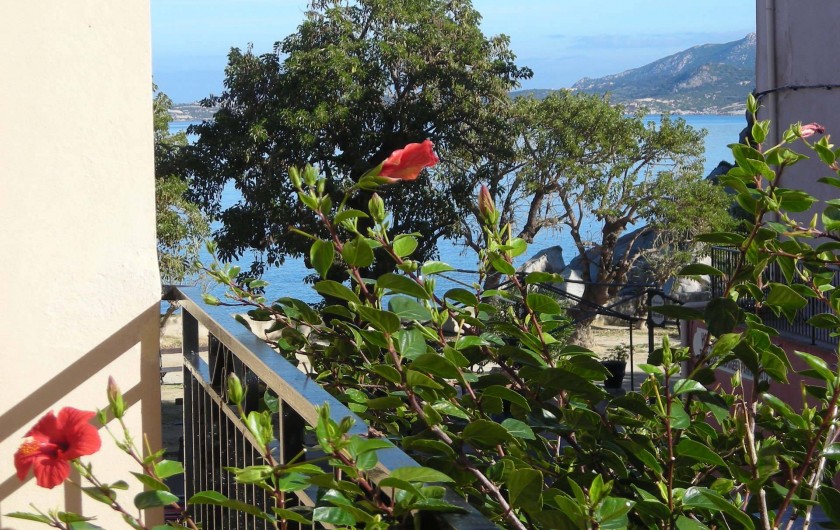 Location de vacances - Villa à Calvi - Petite vue mer du balcon