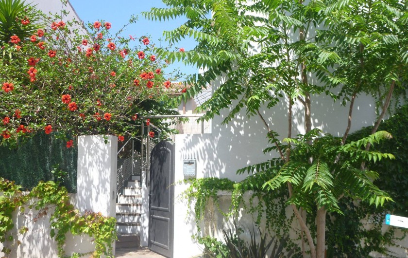 Location de vacances - Villa à Calvi - Notre entrée sur le jardin de 60 m²,fleuri et ombragé