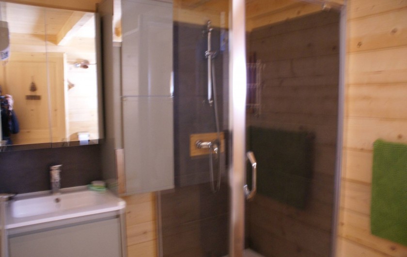 Location de vacances - Chalet à Saint-Paul-sur-Ubaye - salle d'eau , douche, vasque et meubles de rangement. 1 wc .