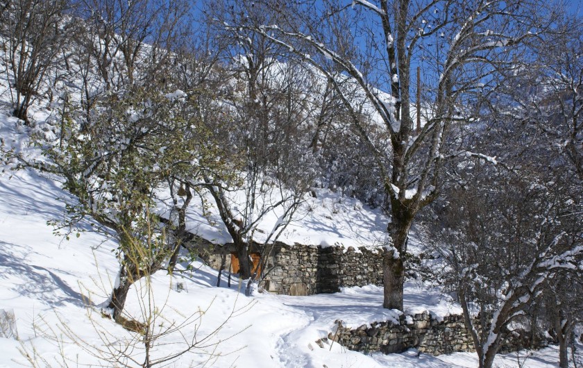 Location de vacances - Chalet à Saint-Paul-sur-Ubaye - espace entourant le chalet (le petit bois )