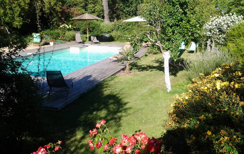 Location de vacances - Chambre d'hôtes à Saint-Thomas - La piscine vue du massif de millepertuis