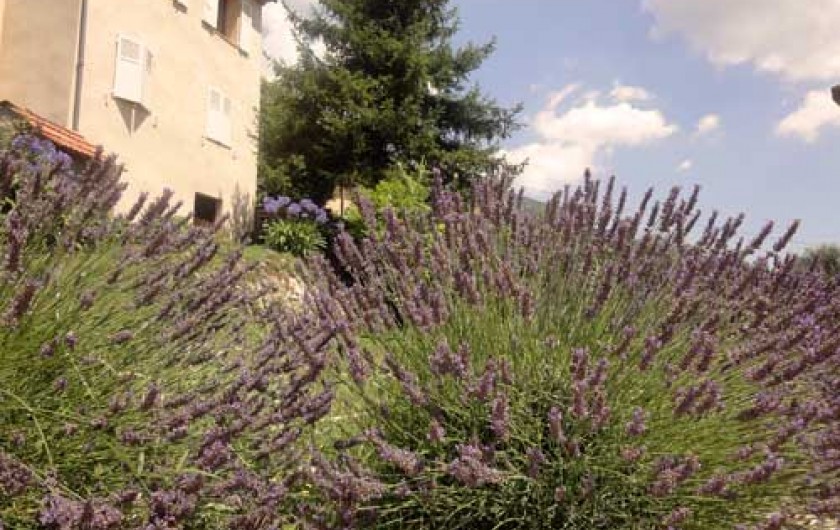 Location de vacances - Appartement à Le Bar-sur-Loup - LES LAVANDES DE NOTRE JARDIN