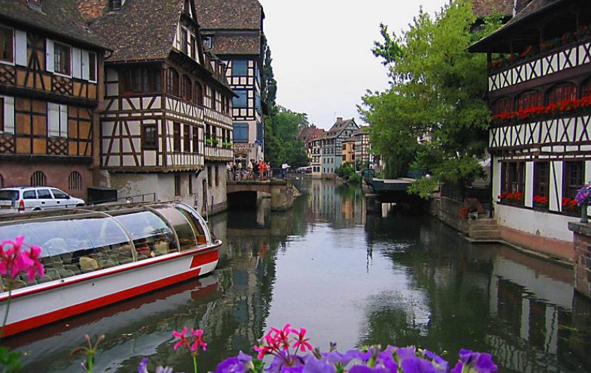 Location de vacances - Gîte à Kintzheim - Strasbourg