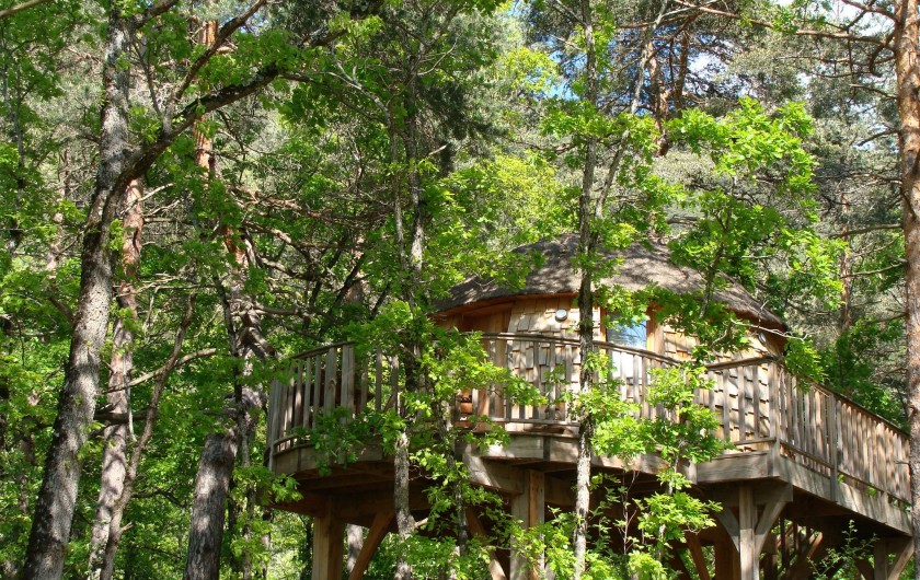 Location de vacances - Cabane dans les arbres à Rivière-sur-Tarn - La Cabane de Lily