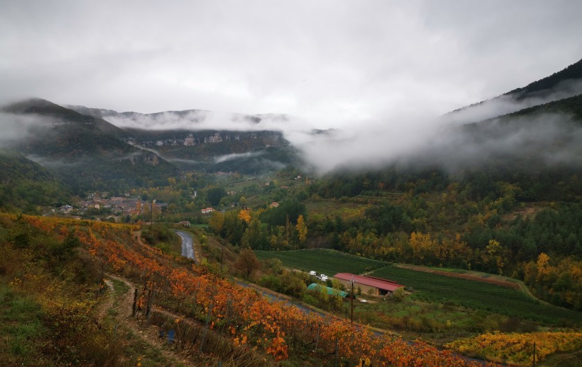 Location de vacances - Cabane dans les arbres à Rivière-sur-Tarn