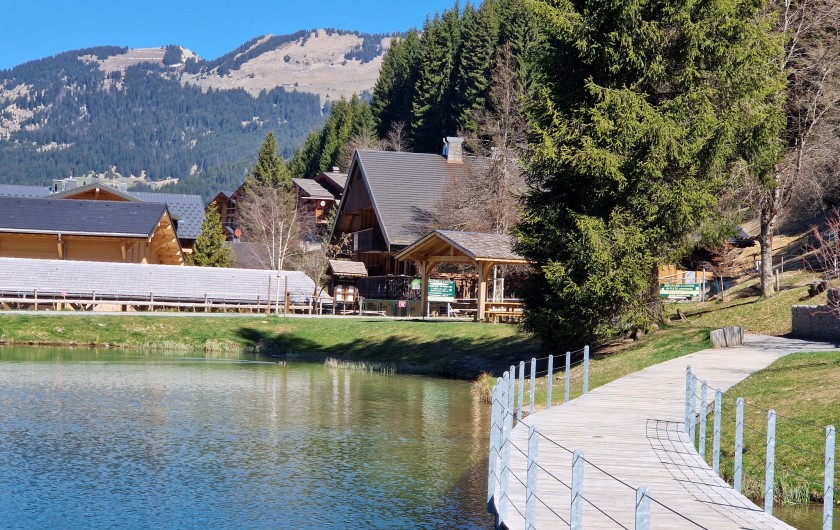 Location de vacances - Chalet à Châtel - le chalet avec son espace privé barbecue