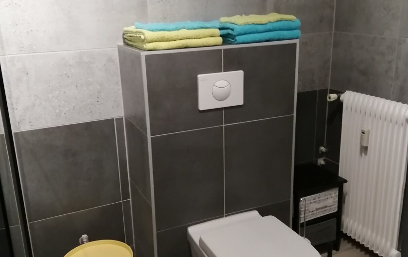 Location de vacances - Appartement à Colmar - serviettes de bain à disposition
