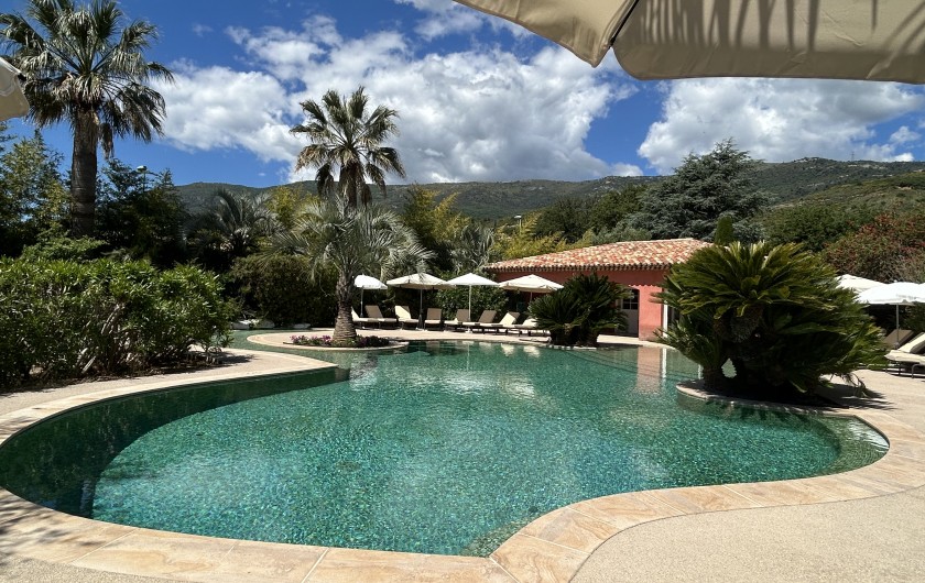 Location de vacances - Villa à Carros - Magnifique piscine-lagon