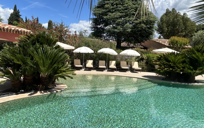 Location de vacances - Villa à Carros - Magnifique piscine-lagon