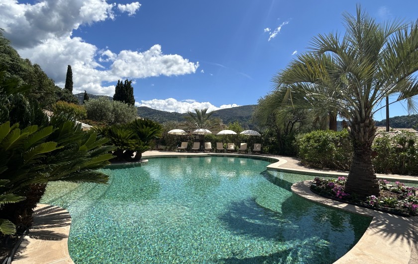 Location de vacances - Villa à Carros - Magnifique piscine-lagon
