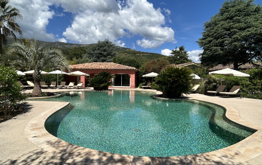 Location de vacances - Villa à Carros - Magnifique piscine-lagon