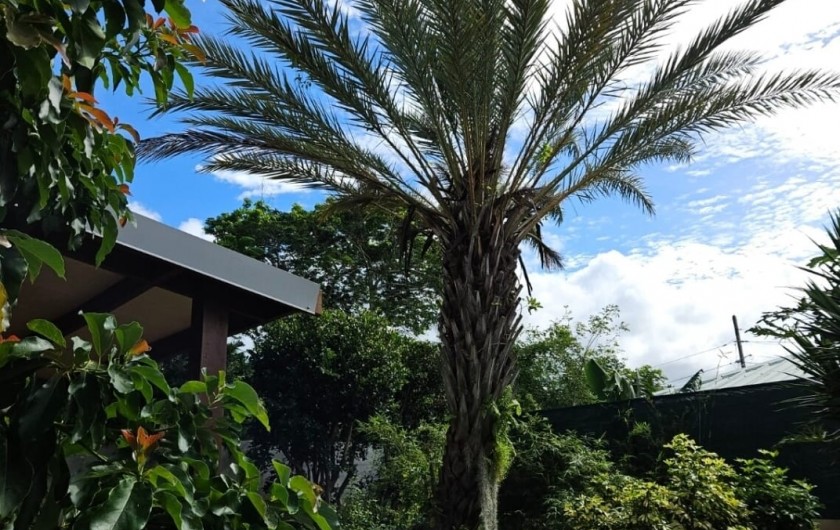 Location de vacances - Maison - Villa à Maniron