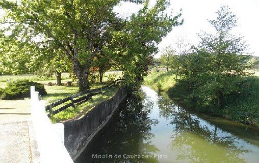 Location de vacances - Gîte à Piets-Plasence-Moustrou - Le bassin, mais l'arbre n'existe plus...