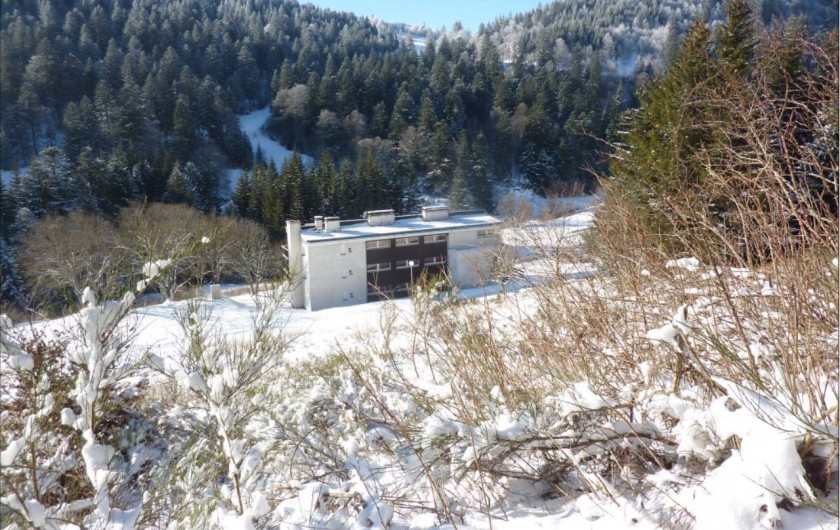 Location de vacances - Studio à Le Lioran - Immeuble et derrière , une des pistes de ski