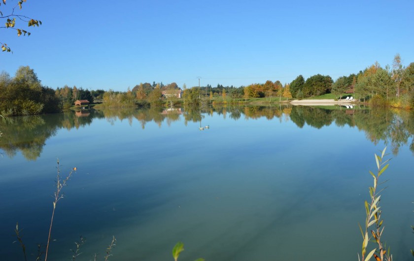 Location de vacances - Gîte à Varennes-Changy - Étang de 2 hectares avec possibilité de pêcher