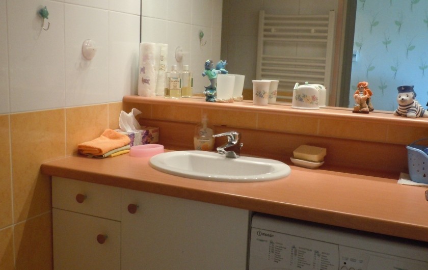 Location de vacances - Appartement à Courseulles-sur-Mer - Salle d'eau avec machine à laver et coin douche