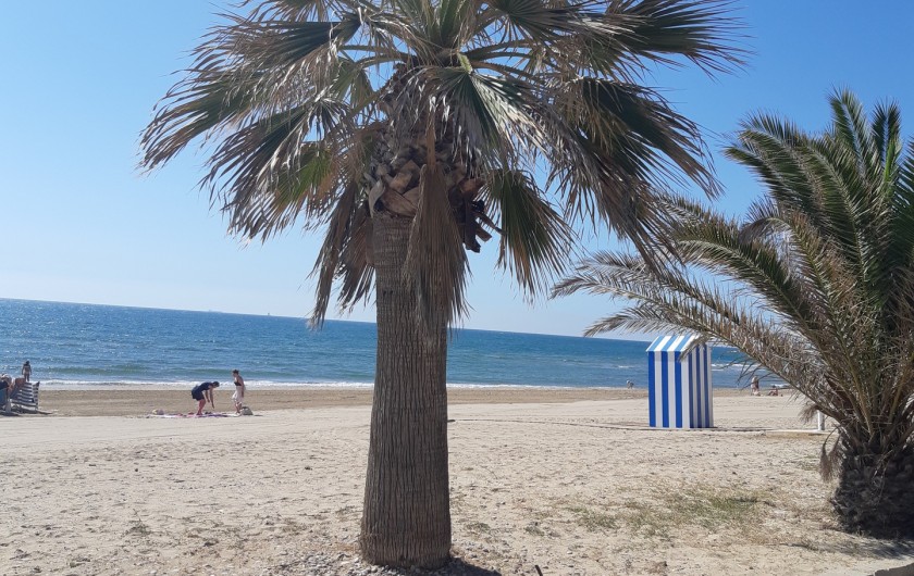 Location de vacances - Appartement à Oropesa del Mar - plages de sable fin à 150 mètres de la location