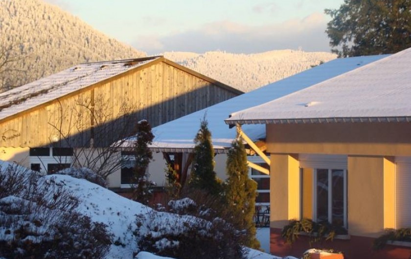 Location de vacances - Chalet à Senones - La neige au rendez vous chaque hiver