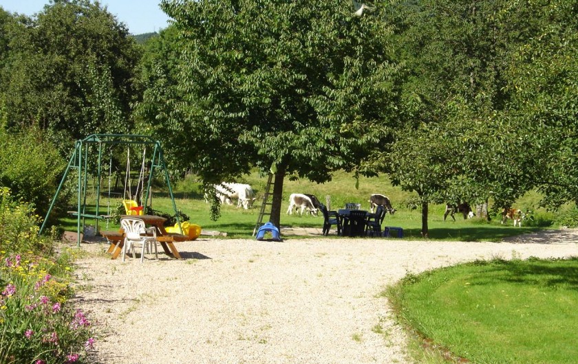 Location de vacances - Maison - Villa à Ban-sur-Meurthe-Clefcy - Terrain de jeux pour les enfants