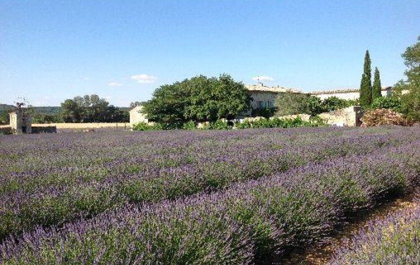 Location de vacances - Mas à Saint-Paul-Trois-Châteaux