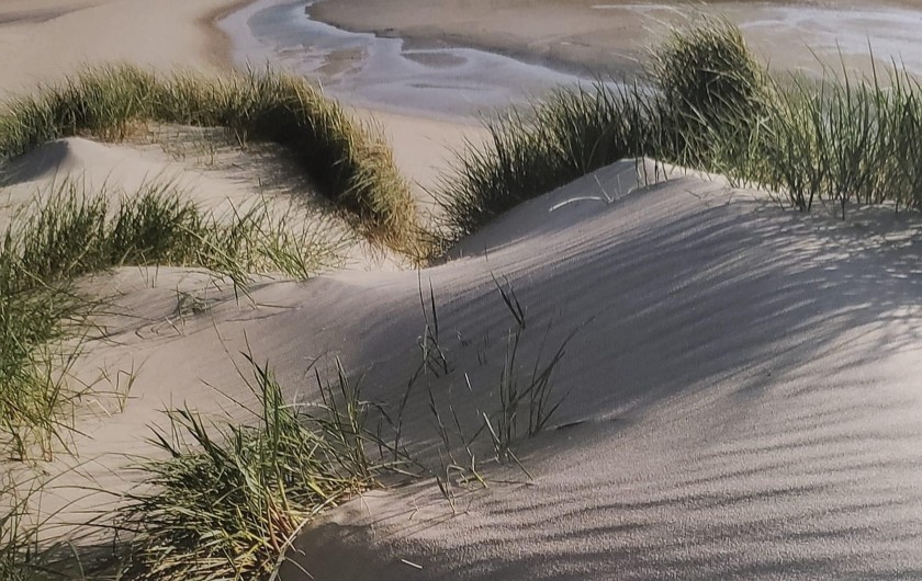 Location de vacances - Studio à Le Touquet-Paris-Plage