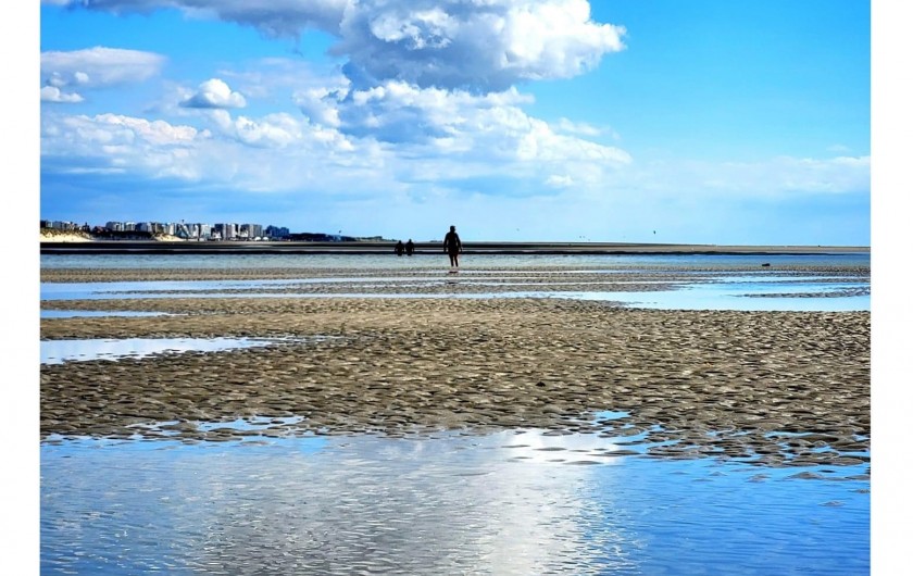 Location de vacances - Studio à Le Touquet-Paris-Plage