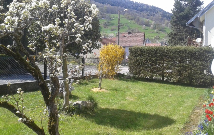 Location de vacances - Gîte à Sondernach - Devant la maison ce printemps