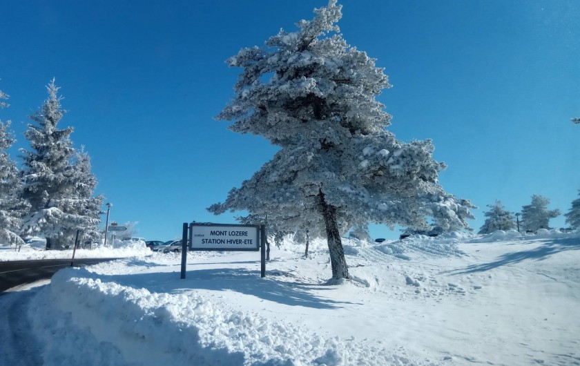 Location de vacances - Gîte à Le Pont-de-Montvert - Neige Lozère 2