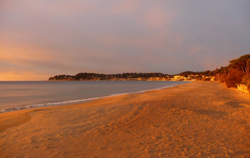 Location de vacances - Studio à Cavalaire-sur-Mer - La plage devant l'Hôtel au soleil levant