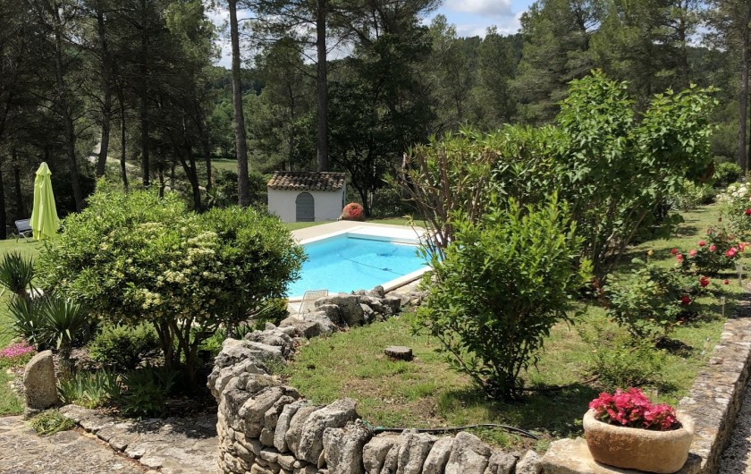 Location de vacances - Gîte à Pernes-les-Fontaines - Vue de la piscine à partir de la pinède