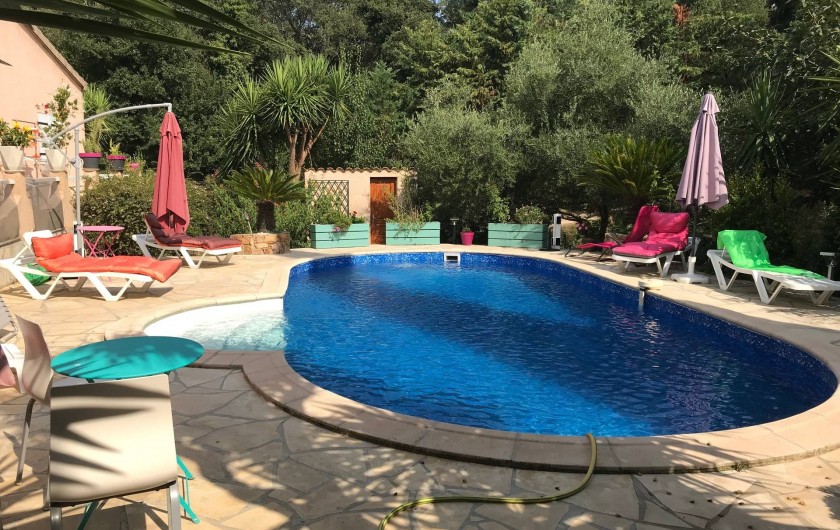 Location de vacances - Villa à Prunelli-di-Fiumorbo - piscine vue du jardin