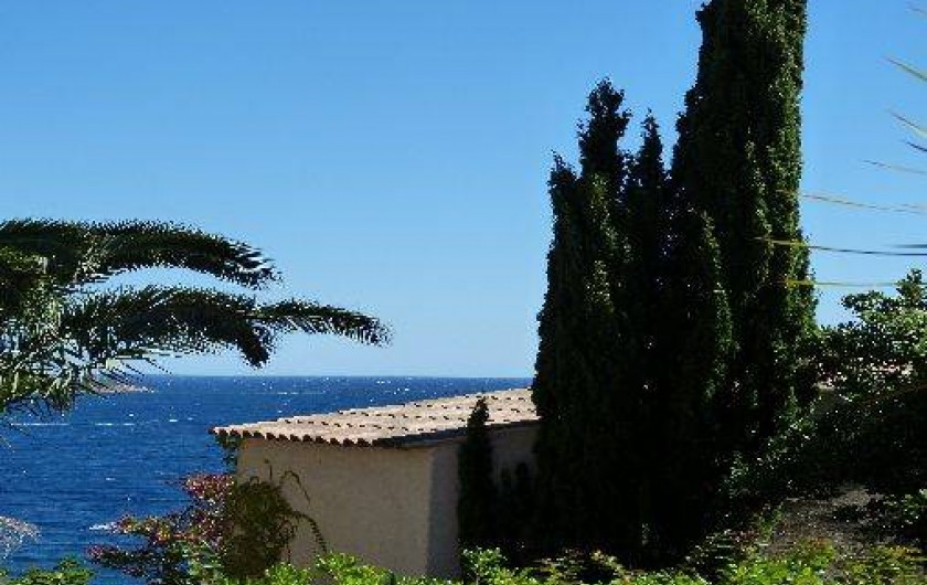 Location de vacances - Villa à Porto-Vecchio