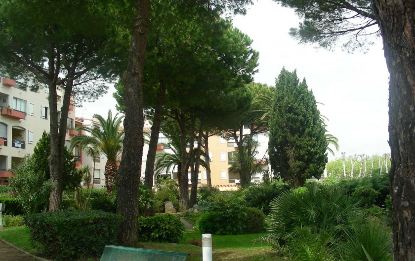 Location de vacances - Appartement à Agde - Jardin