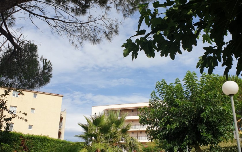 Location de vacances - Appartement à Fréjus - Allée le Lagon Bleu 2020
