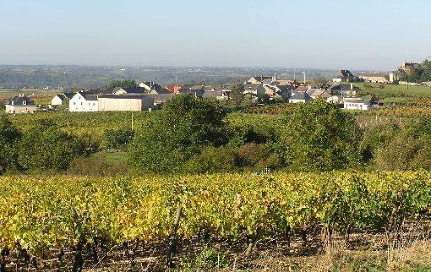 Location de vacances - Studio à Saint-Aubin-de-Luigné - Le hameau des Barres depuis le vignoble