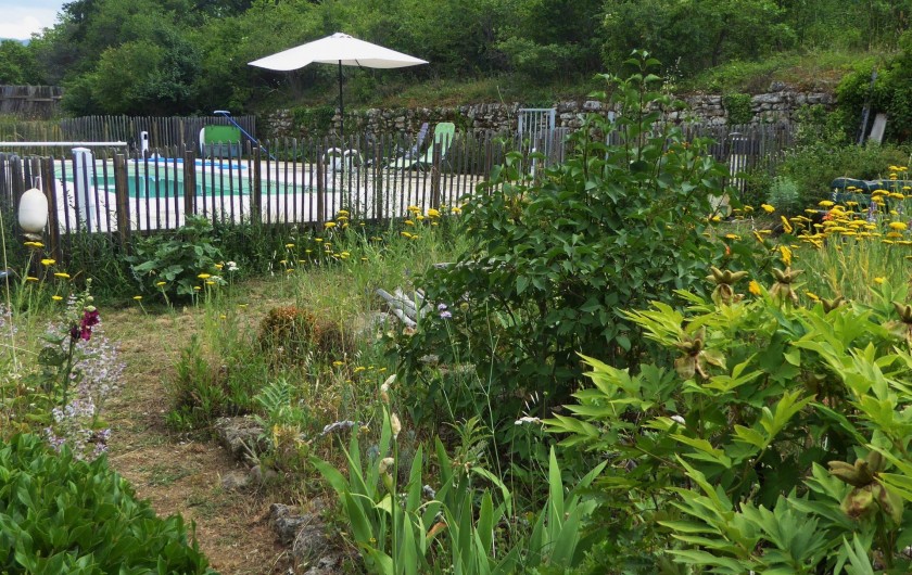 Location de vacances - Villa à Saignon - piscine vue de la terrasse