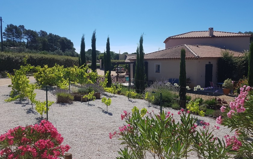 Location de vacances - Chambre d'hôtes à Lorgues - Nos vignes